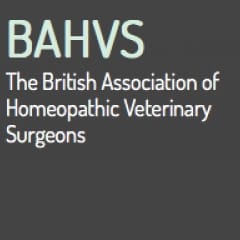 Homeopathic Veterinary Surgeons response to the RCVS