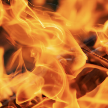 Fever Help from your Favourite Homeopathic Remedies